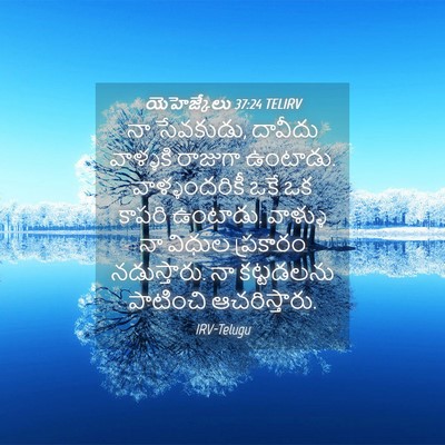 Picture 04 - యెహెజ్కేలు 37:24 TELIRV - నా సేవకుడు, దావీదు - Bible Verse Picture