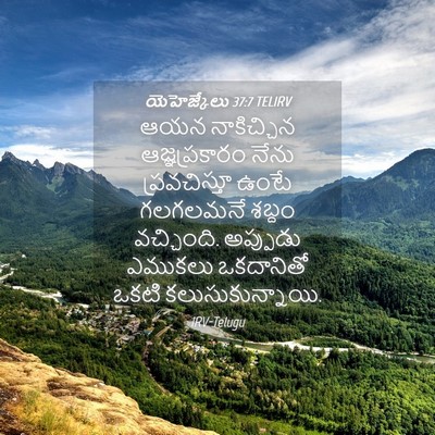 Picture 04 - యెహెజ్కేలు 37:7 TELIRV - ఆయన నాకిచ్చిన - Bible Verse Picture