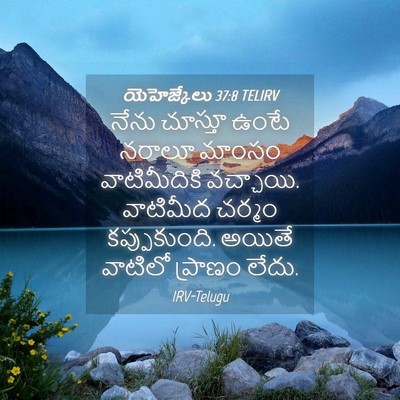 Picture 04 - యెహెజ్కేలు 37:8 TELIRV - నేను చూస్తూ ఉంటే - Bible Verse Picture