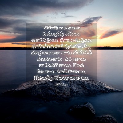 Picture 04 - యెహెజ్కేలు 38:20 TELIRV - సముద్రపు చేపలు, - Bible Verse Picture