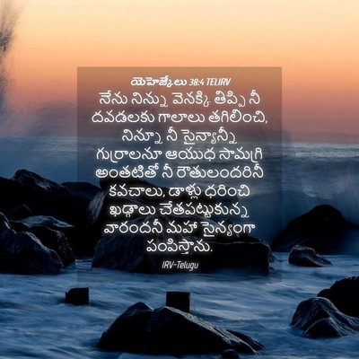 Picture 04 - యెహెజ్కేలు 38:4 TELIRV - నేను నిన్ను - Bible Verse Picture