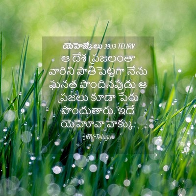 Picture 04 - యెహెజ్కేలు 39:13 TELIRV - ఆ దేశ ప్రజలంతా - Bible Verse Picture