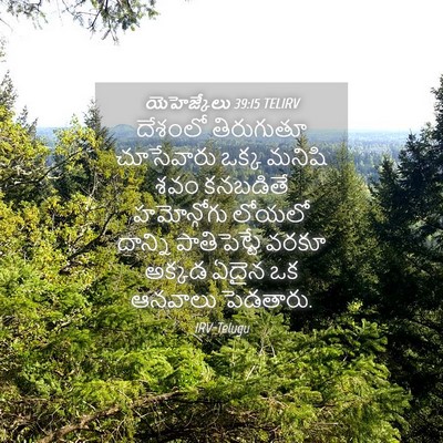 Picture 04 - యెహెజ్కేలు 39:15 TELIRV - దేశంలో తిరుగుతూ - Bible Verse Picture