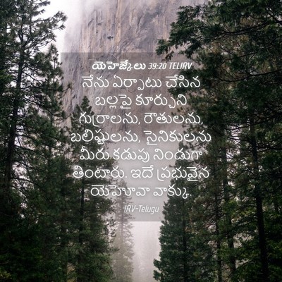 Picture 04 - యెహెజ్కేలు 39:20 TELIRV - నేను ఏర్పాటు - Bible Verse Picture