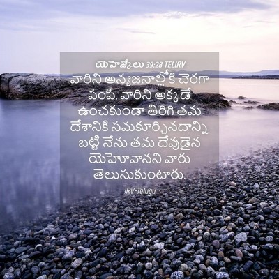 Picture 04 - యెహెజ్కేలు 39:28 TELIRV - వారిని - Bible Verse Picture