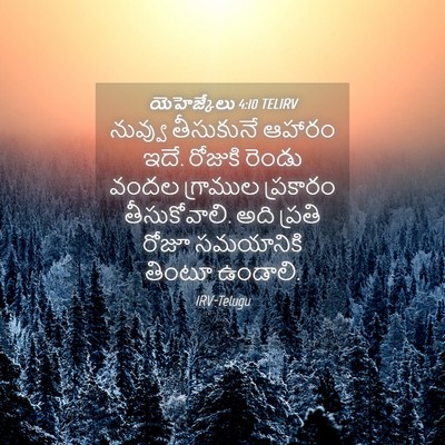 Picture 04 - యెహెజ్కేలు 4:10 TELIRV - నువ్వు తీసుకునే - Bible Verse Picture