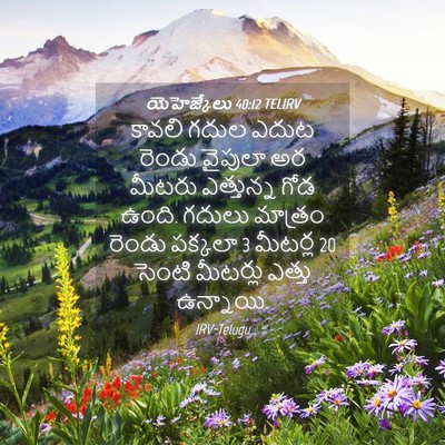 Picture 04 - యెహెజ్కేలు 40:12 TELIRV - కావలి గదుల ఎదుట - Bible Verse Picture