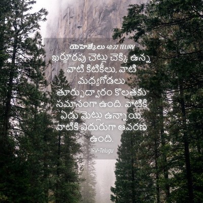 Picture 04 - యెహెజ్కేలు 40:22 TELIRV - ఖర్జూరపు చెట్లు - Bible Verse Picture