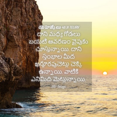 Picture 04 - యెహెజ్కేలు 40:31 TELIRV - దాని మధ్య గోడలు - Bible Verse Picture