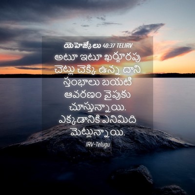 Picture 04 - యెహెజ్కేలు 40:37 TELIRV - అటూ ఇటూ ఖర్జూరపు - Bible Verse Picture