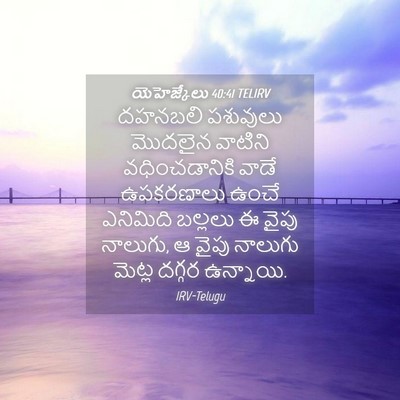 Picture 04 - యెహెజ్కేలు 40:41 TELIRV - దహనబలి పశువులు - Bible Verse Picture