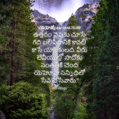 Picture 04 - యెహెజ్కేలు 40:46 TELIRV - ఉత్తరం వైపుకు - Bible Verse Picture