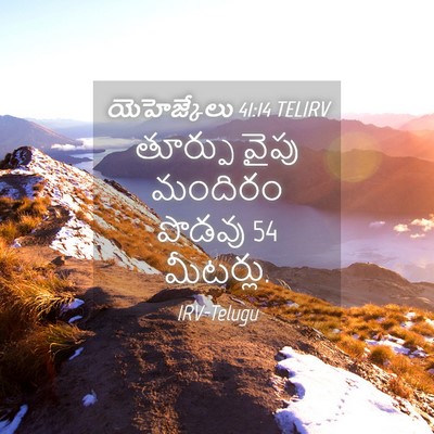 Picture 04 - యెహెజ్కేలు 41:14 TELIRV - తూర్పు వైపు - Bible Verse Picture