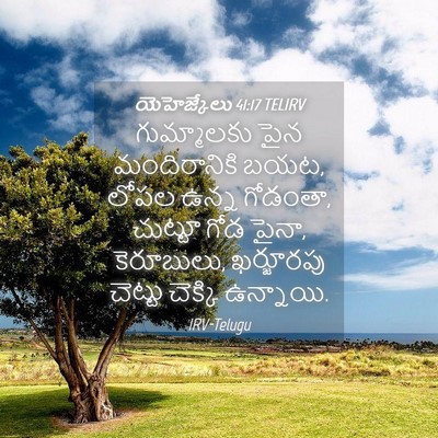 Picture 04 - యెహెజ్కేలు 41:17 TELIRV - గుమ్మాలకు పైన - Bible Verse Picture