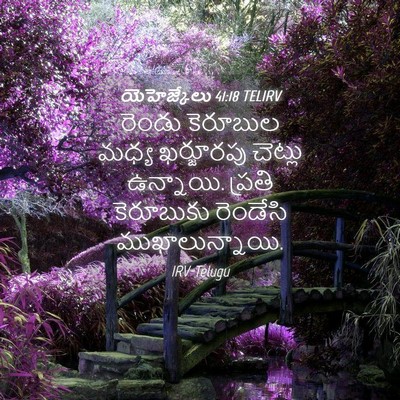 Picture 04 - యెహెజ్కేలు 41:18 TELIRV - రెండు కెరూబుల - Bible Verse Picture