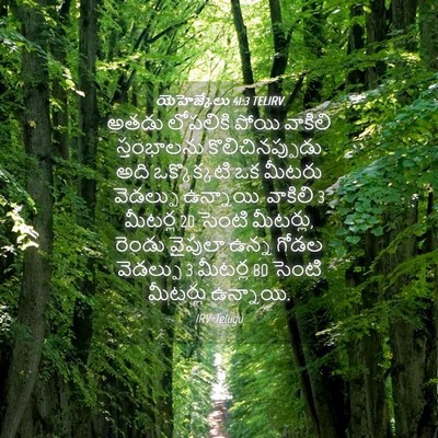 Picture 04 - యెహెజ్కేలు 41:3 TELIRV - అతడు లోపలికి పోయి - Bible Verse Picture