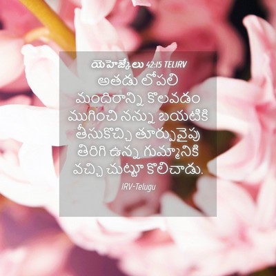Picture 04 - యెహెజ్కేలు 42:15 TELIRV - అతడు లోపలి - Bible Verse Picture