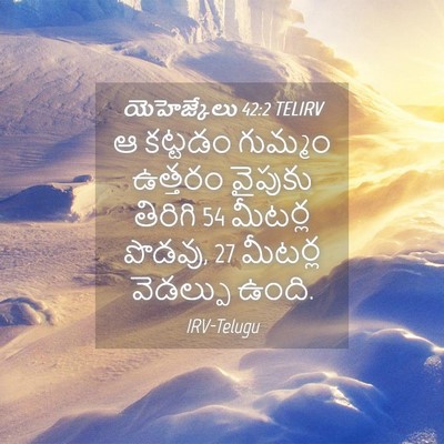 Picture 04 - యెహెజ్కేలు 42:2 TELIRV - ఆ కట్టడం గుమ్మం - Bible Verse Picture
