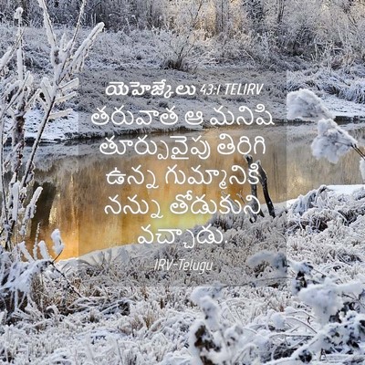 Picture 04 - యెహెజ్కేలు 43:1 TELIRV - తరువాత ఆ మనిషి - Bible Verse Picture