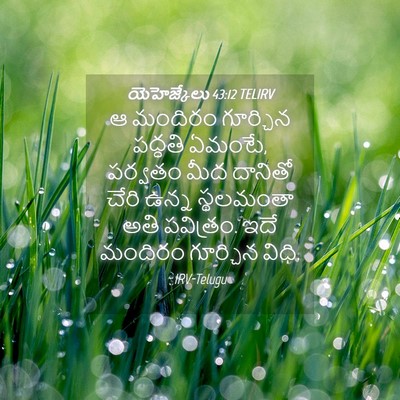 Picture 04 - యెహెజ్కేలు 43:12 TELIRV - ఆ మందిరం గూర్చిన - Bible Verse Picture
