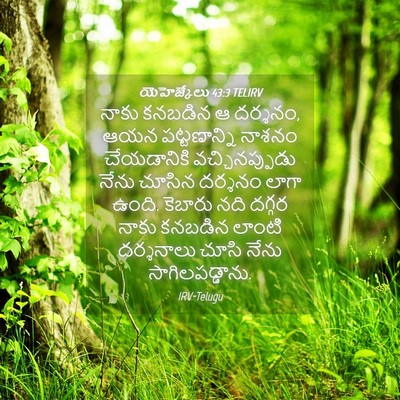 Picture 04 - యెహెజ్కేలు 43:3 TELIRV - నాకు కనబడిన ఆ - Bible Verse Picture