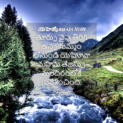 Picture 04 - యెహెజ్కేలు 43:4 TELIRV - తూర్పు వైపు - Bible Verse Picture
