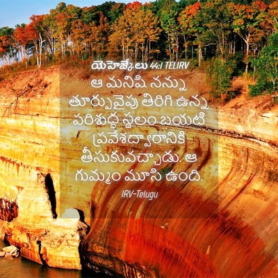 Picture 04 - యెహెజ్కేలు 44:1 TELIRV - ఆ మనిషి నన్ను - Bible Verse Picture