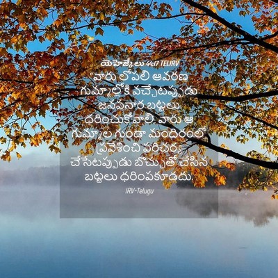 Picture 04 - యెహెజ్కేలు 44:17 TELIRV - “వారు లోపలి ఆవరణ - Bible Verse Picture