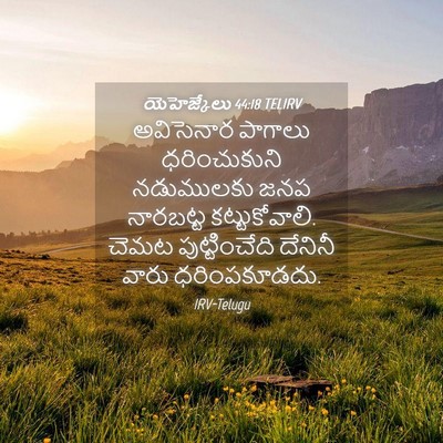 Picture 04 - యెహెజ్కేలు 44:18 TELIRV - అవిసెనార పాగాలు - Bible Verse Picture