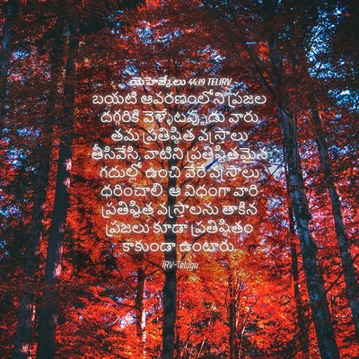 Picture 04 - యెహెజ్కేలు 44:19 TELIRV - బయటి ఆవరణంలోని - Bible Verse Picture