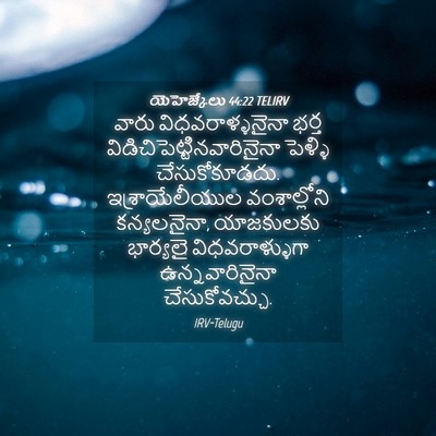 Picture 04 - యెహెజ్కేలు 44:22 TELIRV - వారు - Bible Verse Picture