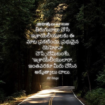 Picture 04 - యెహెజ్కేలు 44:6 TELIRV - తిరుగుబాటు చేసే - Bible Verse Picture