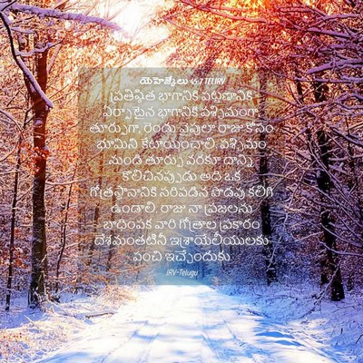 Picture 04 - యెహెజ్కేలు 45:7 TELIRV - ప్రతిష్ఠిత - Bible Verse Picture