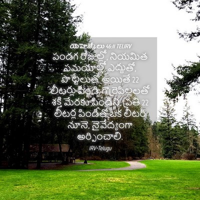 Picture 04 - యెహెజ్కేలు 46:11 TELIRV - పండగ రోజుల్లో, - Bible Verse Picture
