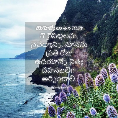 Picture 04 - యెహెజ్కేలు 46:15 TELIRV - గొర్రెపిల్లలను, - Bible Verse Picture