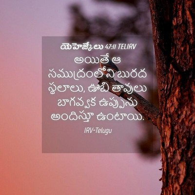 Picture 04 - యెహెజ్కేలు 47:11 TELIRV - అయితే ఆ - Bible Verse Picture