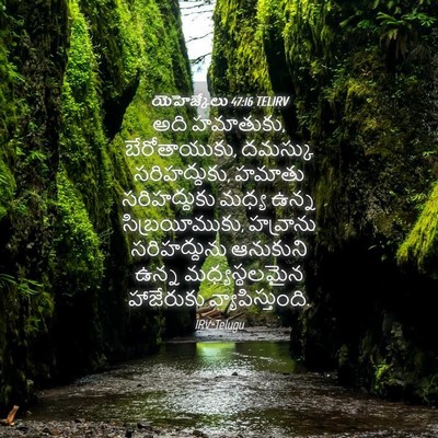 Picture 04 - యెహెజ్కేలు 47:16 TELIRV - అది హమాతుకు, - Bible Verse Picture