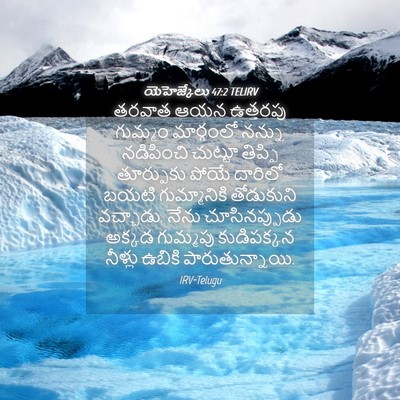 Picture 04 - యెహెజ్కేలు 47:2 TELIRV - తరవాత ఆయన ఉత్తరపు - Bible Verse Picture