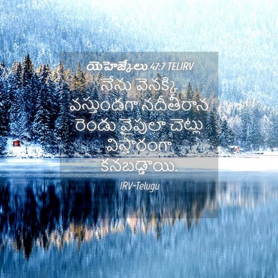 Picture 04 - యెహెజ్కేలు 47:7 TELIRV - నేను వెనక్కి - Bible Verse Picture