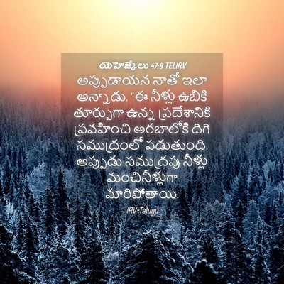 Picture 04 - యెహెజ్కేలు 47:8 TELIRV - అప్పుడాయన నాతో - Bible Verse Picture