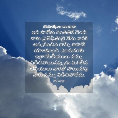 Picture 04 - యెహెజ్కేలు 48:11 TELIRV - ఇది సాదోకు - Bible Verse Picture