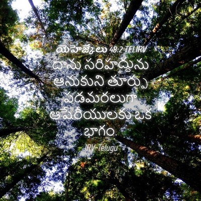 Picture 04 - యెహెజ్కేలు 48:2 TELIRV - దాను సరిహద్దును - Bible Verse Picture