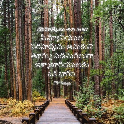 Picture 04 - యెహెజ్కేలు 48:25 TELIRV - షిమ్యోనీయుల - Bible Verse Picture