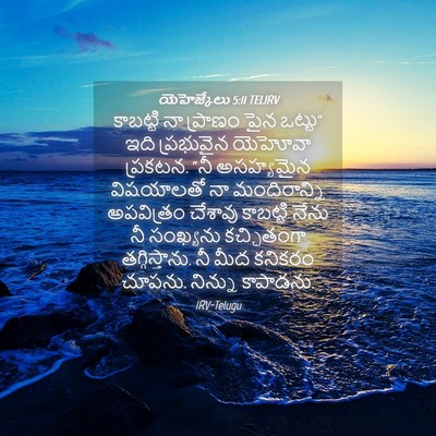 Picture 04 - యెహెజ్కేలు 5:11 TELIRV - కాబట్టి నా ప్రాణం - Bible Verse Picture