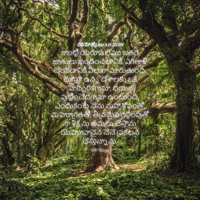 Picture 04 - యెహెజ్కేలు 5:15 TELIRV - కాబట్టి యెరూషలేము - Bible Verse Picture
