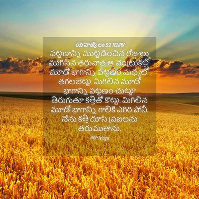 Picture 04 - యెహెజ్కేలు 5:2 TELIRV - పట్టణాన్ని - Bible Verse Picture
