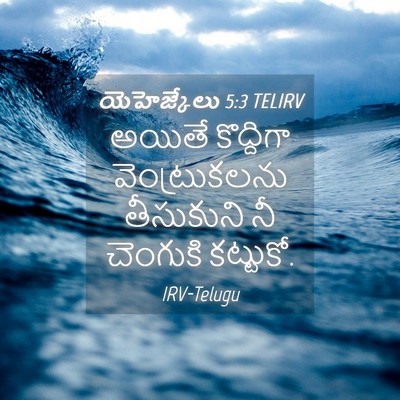 Picture 04 - యెహెజ్కేలు 5:3 TELIRV - అయితే కొద్దిగా - Bible Verse Picture