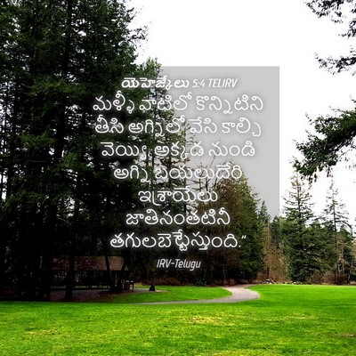 Picture 04 - యెహెజ్కేలు 5:4 TELIRV - మళ్ళీ వాటిలో - Bible Verse Picture