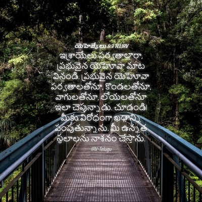 Picture 04 - యెహెజ్కేలు 6:3 TELIRV - ఇశ్రాయేలు - Bible Verse Picture