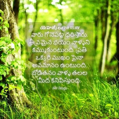 Picture 04 - యెహెజ్కేలు 7:18 TELIRV - వారు గోనెపట్ట - Bible Verse Picture